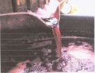 vino