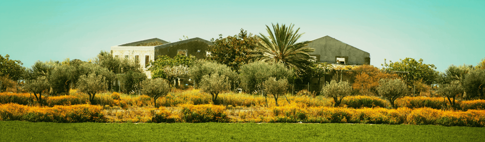 azienda-agricola-fronte