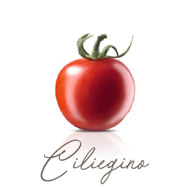 Ciliegino Pachino