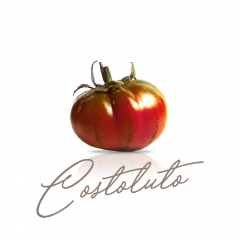 Costoluto