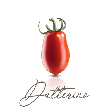 datterino